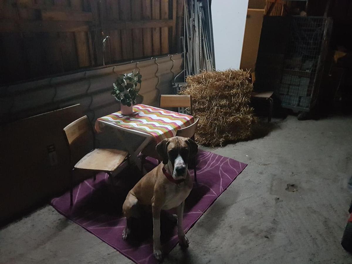 Et-Home Kungsbacka Dış mekan fotoğraf